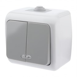 Intro Выключатель Atlantic 5-105-03 двойной с подсветкой, 10А-250В, IP54, открытой установки, серый Б0050944 - фото 76223