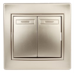 Intro Переключатель Plano 1-107-04 двухклавишный, 10А-250В, IP20, СУ, шампань Б0053808 - фото 76241