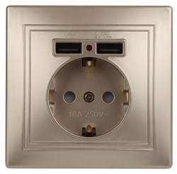 Intro Розетка Plano 1-410-04 с заземлением 2P+E Schuko со шторками, 16А-250В + 2хUSB 5В-2,1А, IP20, СУ, шампань Б0053945 - фото 76274