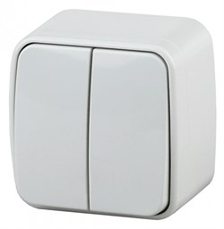 Intro 3-104-01 Выключатель двойной, 10А-250В, IP20, ОУ, Polo, Белый Б0036095 - фото 76300