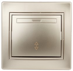 Intro Переключатель Plano 1-103-04 одноклавишный 10А-250В, IP20, СУ, шампань Б0053748 - фото 76357