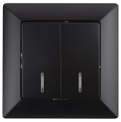 Intro Выключатель Solo 4-105-05 двухклавишный с подсветкой, 10А-250В, IP20, СУ, Solo, антрацит Б0053597 - фото 76405