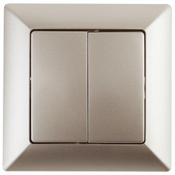 Intro Выключатель Solo 4-104-04 двухклавишный 10А-250В, IP20, СУ, шампань Б0053588 - фото 76507