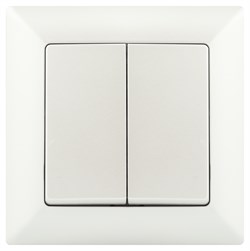 Intro Переключатель Solo 4-107-06 двухклавишный, 10А-250В, IP20, СУ, перламутр Б0053614 - фото 76629