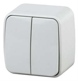 Intro Выключатель Polo 3-104-01 двухклавишный, 10A-250В, IP20, ОУ, белый Б0053537 - фото 76681