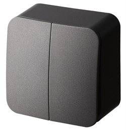 Jasmart FS Антрацит Выключатель 2-кл, накладного монтажа, 10AX 250V~ FS3023B - фото 77006