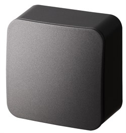 Jasmart FS Антрацит Выключатель 1-кл звонковый, накладного монтажа, 10AX 250V~ FS3010B - фото 77007