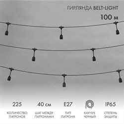Гирлянда Belt-Light 2 жилы, 100м, шаг 40см, 225 подвесныx патронов Е27, IP65, черный круглый провод NEON-NIGHT 331-231 - фото 90127
