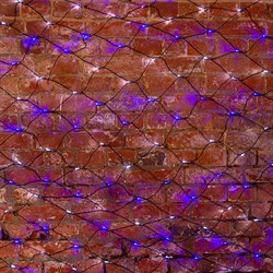 NEON-NIGHT Гирлянда "Сеть" 2,5х2,5м, черный ПВХ, 432 LED Белые/Синие 215-032 - фото 90701