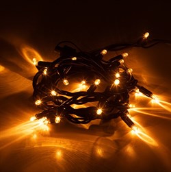 ЭРА Гирлянда ERAPS-NZ1 светодиодная новогодняя уличная нить 3 м желтая 30LED Б0060543 - фото 91422