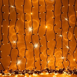 ЭРА Гирлянда ERAPS-Z светодиодная новогодняя занавес 3*2 м желтая 600 LED Б0060547 - фото 91461