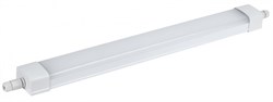 IEK LIGHTING PRO Светильник LED ДСП 1331 18Вт 5000К IP65 600мм LDSP0-1331-18-5000-K01 - фото 91659