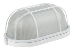 ЭРА НБП 04-100-002 Светильник Акватермо ал/стекло решетка IP54 E27 max 60Вт 280х160 Б0048426 - фото 91768