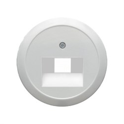 Центральная панель для розетки UAE, RJ45, Berker 1930/Glasserie/Palazzo цвет: полярная белизна, с блеском 1407 - фото 9295