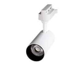 Jazzway Прожектор PTR 0715 15w 5000K 24° WH (белый) IP40 .5041233 - фото 93798