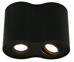 Arte Lamp FALCON Потолочные светильники A5644PL-2BK A5644PL-2BK - фото 94155