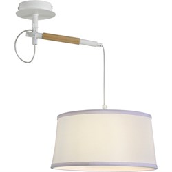 F-promo Eureka 3005-1P, настенно-потолочный светильник, D300xH600, 1xE27x60W 3005-1P - фото 94544