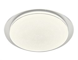 Ambrella Потолочный светодиодный светильник FZ1048 WH белый 60W 4200K D570*55 (Без ПДУ) FZ1048 - фото 94665