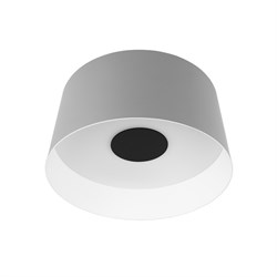 LOFT IT 10360M Grey Потолочный светильник Duo, шт 10360M Grey - фото 95734