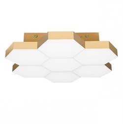 Lightstar Светильник потолочный Favo Lightstar 750071 750071 - фото 95811