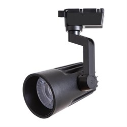 Arte Lamp WALES Потолочные светильники A1632PL-1BK A1632PL-1BK - фото 96118