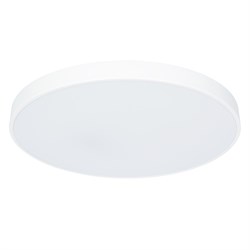 Arte Lamp A2671PL-1WH Потолочный светильник LED 80W 4000K A2671PL-1WH - фото 96311