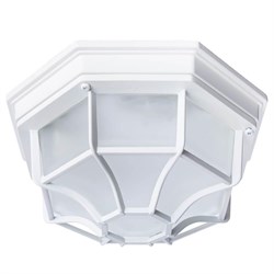 Arte Lamp A3100PL-1WH Pegasus Уличный потолочный светильник A3100PL-1WH - фото 96580