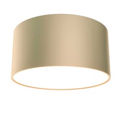 Maytoni Technical Потолочный светильник C032CL-12W3K-RD-MG C032CL-12W3K-RD-MG - фото 96726