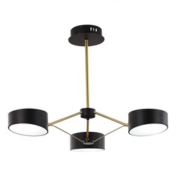 Evoluce SLE6005-402-03 светильник потолочный чёрный / чёрный LED 3*10W SLE6005-402-03 - фото 96761