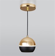 Elektrostandard Подвесной светодиодный светильник DLS023 4690389149146 a047804