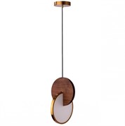 LOFT IT 9970C Подвесной светильник LED 9970C 9970C