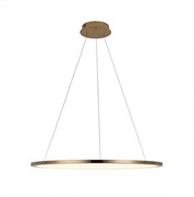 LOFT IT 10014L Светильник подвесной Ring, шт 10014L