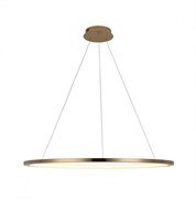 LOFT IT 10014XL Светильник подвесной Ring, шт 10014XL