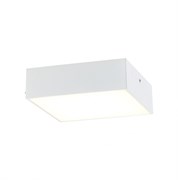 Citilux CL712X120N Тао Белый Светильник Накл. LED 12W*4000K CL712X120N