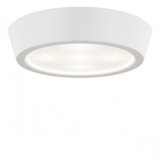 Lightstar Светильник накладной заливающего света со встроенными светодиодами Urbano mini Lightstar 214702 214702