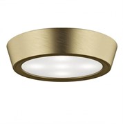 Lightstar Светильник накладной заливающего света со встроенными светодиодами Urbano Lightstar 214914 214914