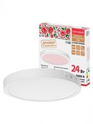 TDM Светильник светодиодный накладной "Даунлайт НАРОДНЫЙ" круг СПО (белый) алюминий 24Вт 3000К SQ0329-4221