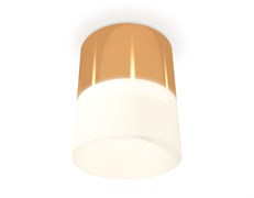 Ambrella Комплект накладного светильника с акрилом XS8121011 PYG/FR золото желтое полированное/белый матовый GX53 (C8121, N8402) XS8121011