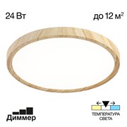 Citilux CL738242V Бейсик Клен Св-к Накл. LED 24W*Мульти CL738242V