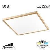 Citilux CL738K502V Бейсик Клен Св-к Накл. LED 50W*Мульти CL738K502V