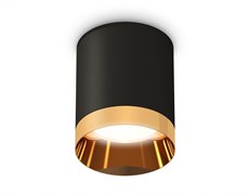 Ambrella Комплект накладного светильника XS6302024 SBK/PYG черный песок/золото желтое полированное MR16 GU5.3 (C6302, N6134) XS6302024