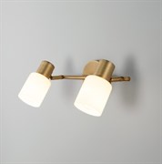 Eurosvet Настенный светильник с поворотными плафонами 20089/2 бронза a049414