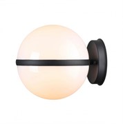 Odeon Light 4832/1W NATURE ODL21 563 черный/акрил Ландшафтный настенный светильник E27 1*10W IP44 LOMEO LOMEO 4832/1W