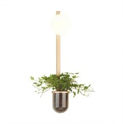 Odeon Light 4682/1WB ODL20 625 золото/белый Настенный светильник E14 1*40W 220V FLOWER 4682/1WB