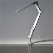 ЭРА Настольный светильник NLED-496-12W-W светодиодный на струбцине белый Б0052766