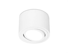 Ambrella Накладной точечный светильник с врезным отверстием TN222 WH/S белый/песок GU5.3 D80*50 TN222