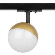 ЭРА Трековый светильник однофазный ЭРА TR42-GX53 MG под лампу GX53 матовое золото Б0054179