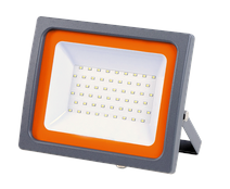 Jazzway Прожектор PFL -SC- 100w 6500K IP65 (матовое стекло)