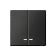 ArtGallery Базальт Выключатель 2-клавишный с подсветкой, сх.5а, 10АХ, механизм GAL001453