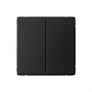 ArtGallery Карбон Выключатель 2-клавишный кнопочный, сх.2, 10А, механизм GAL001017